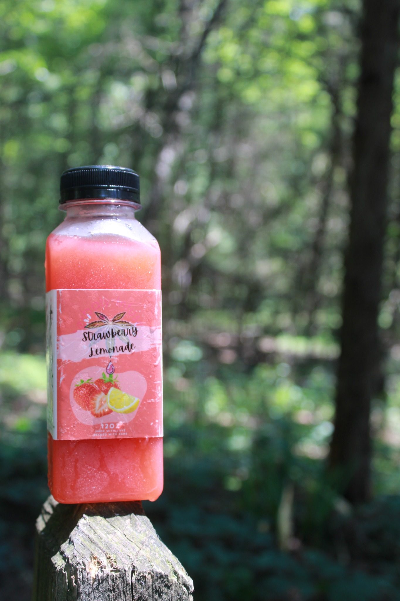 Herbally Infused strawberry lemonade photographed outdoors